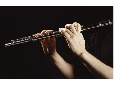 招聘巴彦淖尔长笛家教老师